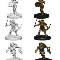 D&D Nolzur's Marvelous Miniatures: Goblins