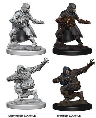 Pathfinder: Deep Cuts - Human Male Rogue