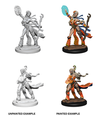 Pathfinder: Deep Cuts - Human Female Sorcerer