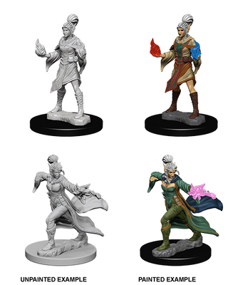 Pathfinder: Deep Cuts - Elf Female Sorcerer