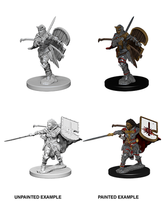 Pathfinder: Deep Cuts - Human Female Paladin