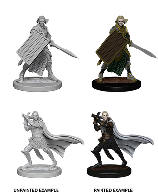 Pathfinder: Deep Cuts - Elf Male Paladin