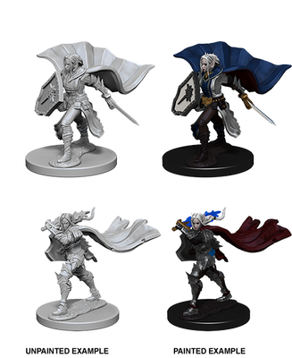Pathfinder: Deep Cuts - Elf Female Paladin
