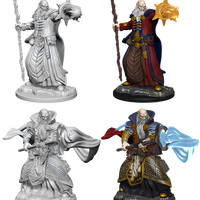 D&D: Nolzur's Marvelous Miniatures - Human Male Wizard