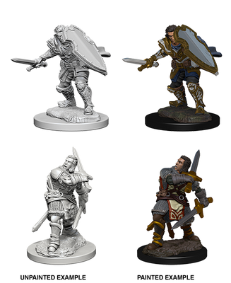 D&D: Nolzur's Marvelous Miniatures - Human Male Paladin