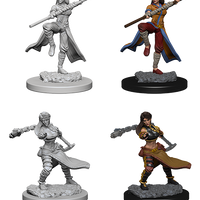 D&D: Nolzur's Marvelous Miniatures - Human Female Monk