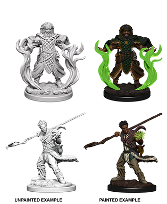 D&D: Nolzur's Marvelous Miniatures - Human Male Druid