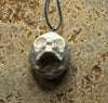 Werewolf Fetal Skull Ornament, Resin Sculpture | Gothic Fantasy Skull Figurine | Werewolf Skull Ornament for Fantasy and Gothic Decor