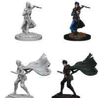 Pathfinder: Deep Cuts - Elf Female Rogue