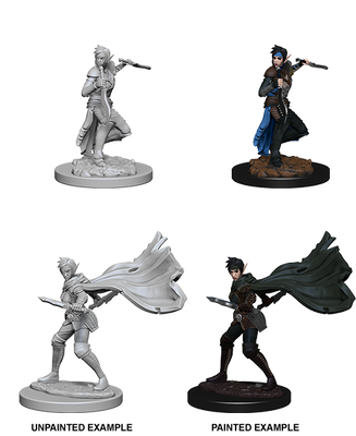 Pathfinder: Deep Cuts - Elf Female Rogue