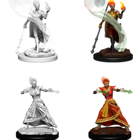 D&D: Nolzur's Marvelous Miniatures - Fire Genasi Female Wizard