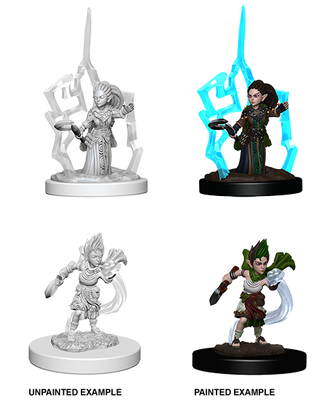 Pathfinder: Deep Cuts - Gnome Female Druid