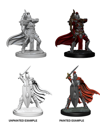 Pathfinder: Deep Cuts - Female Knights / Gray Maidens