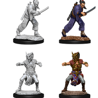 D&D: Nolzur's Marvelous Miniatures - Human Male Monk