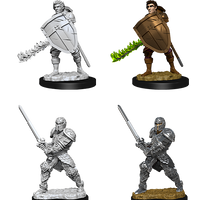 D&D: Nolzur's Marvelous Miniatures - Human Male Fighter