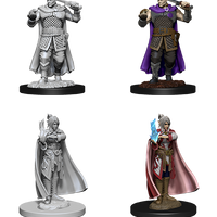 D&D: Nolzur's Marvelous Miniatures - Human Ranger & Moon Elf Sorcerer