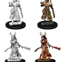 D&D: Nolzur's Marvelous Miniatures - Human Female Druid