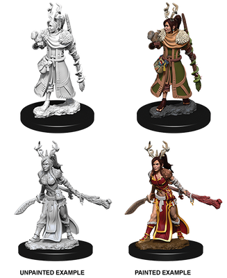 D&D: Nolzur's Marvelous Miniatures - Human Female Druid