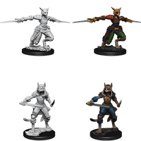 D&D: Nolzur's Marvelous Miniatures - Tabaxi Female Rogue