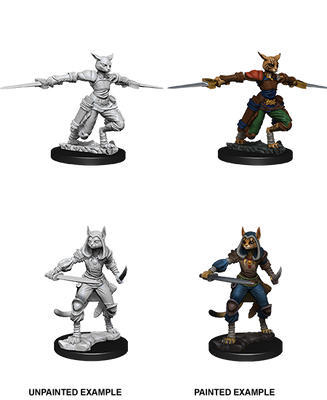 D&D: Nolzur's Marvelous Miniatures - Tabaxi Female Rogue