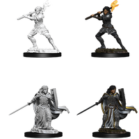 D&D: Nolzur's Marvelous Miniatures - Human Female Paladin