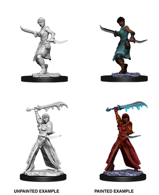 D&D: Nolzur's Marvelous Miniatures - Human Female Rogue