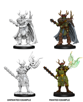 Pathfinder: Deep Cuts - Half-Orc Male Druid