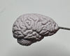 Brain Bottle Opener, Hand Painted Resin | Gothic Medical Decor, Anatomy Brain Bottle Opener |Fantasy Gothic Wine and Barware Gift