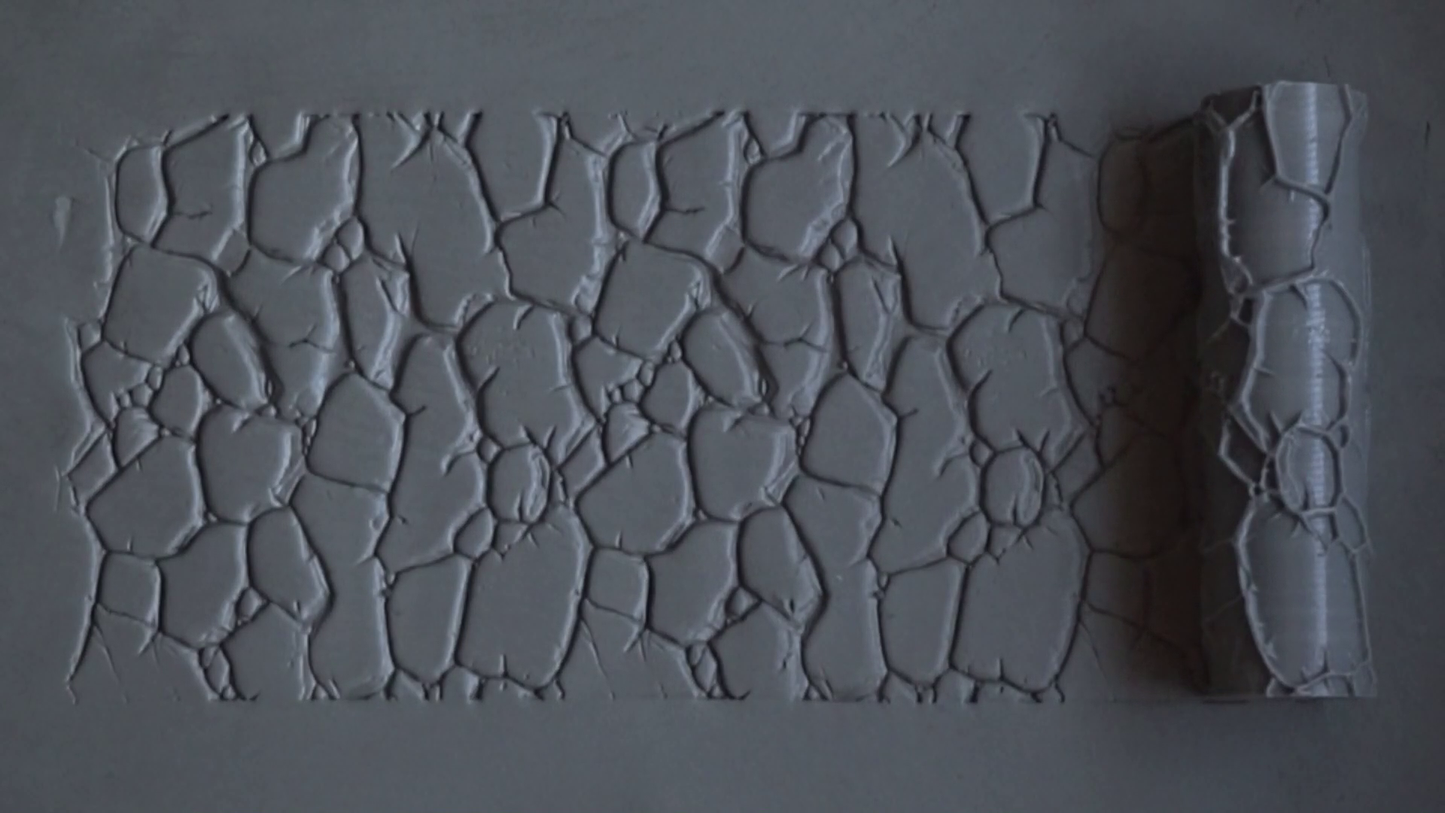 Textured Roller 8-1