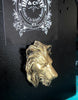 Lion's Head Magnet, Hand Painted Resin Sculpture | Mythic Fantasy Decor | Lion Magnet for Fantasy and Gothic Decor
