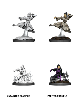 D&D: Nolzur's Marvelous Miniatures - Female Human Monk