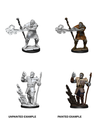 D&D: Nolzur's Marvelous Miniatures - Firbolg Male Wizard