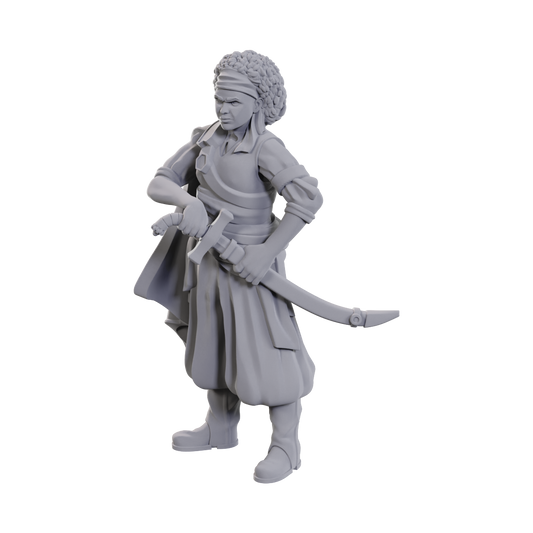 D&D: Nolzur's Marvelous Miniatures - Ansalon Human Rogue