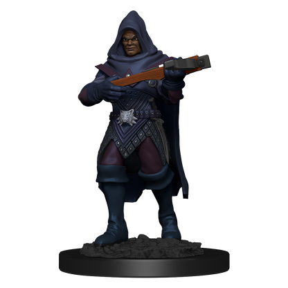 Pathfinder: Deep Cuts - Human Rogue Male