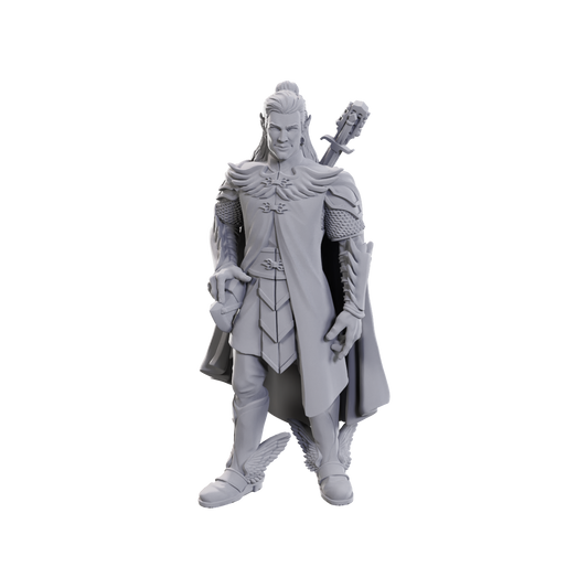 D&D: Critical Role Miniatures - Dorian Storm
