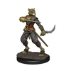 D&D: Icons of the Realms - Tabaxi Rogue Male