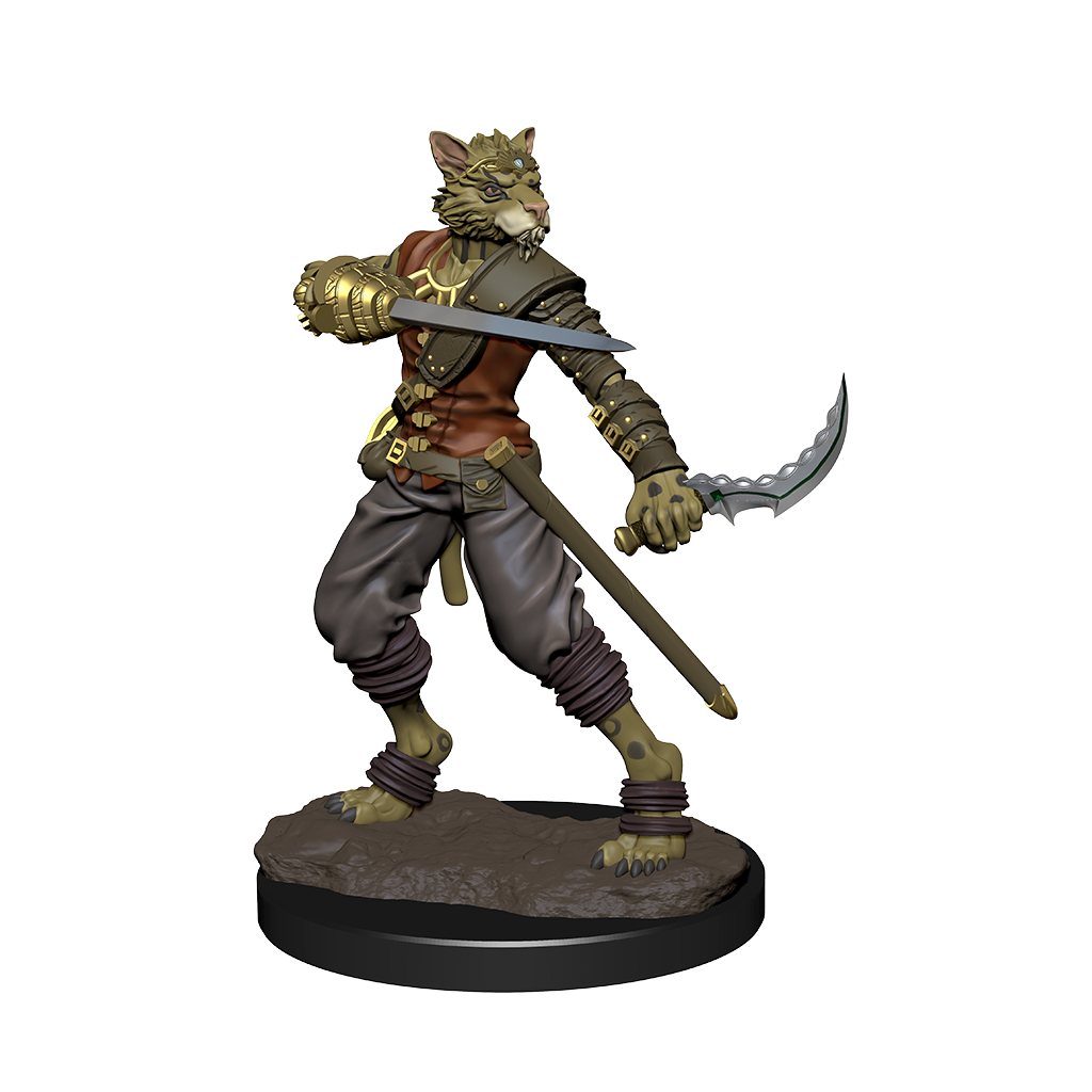 D&D: Icons of the Realms - Tabaxi Rogue Male