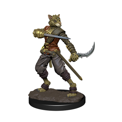 D&D: Icons of the Realms - Tabaxi Rogue Male