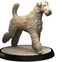 Dog Companions Vol. 1, Part 1