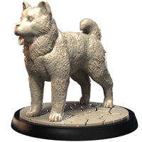 Dog Companions Vol. 1, Part 1