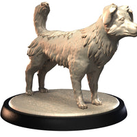 Dog Companions Vol. 1, Part 1