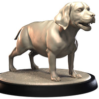 Dog Companions Vol. 1, Part 1