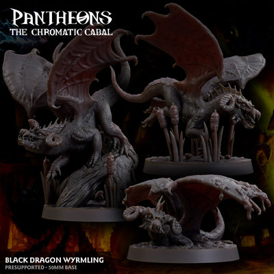 Wyrmling Black Dragon