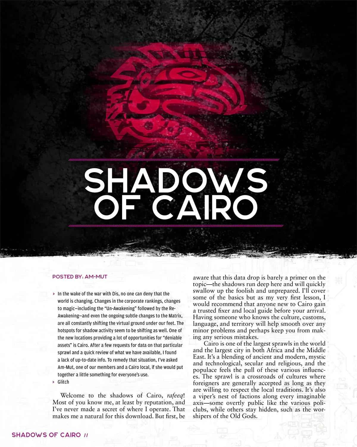 Shadowrun RPG: Risks & Rewards (6E)