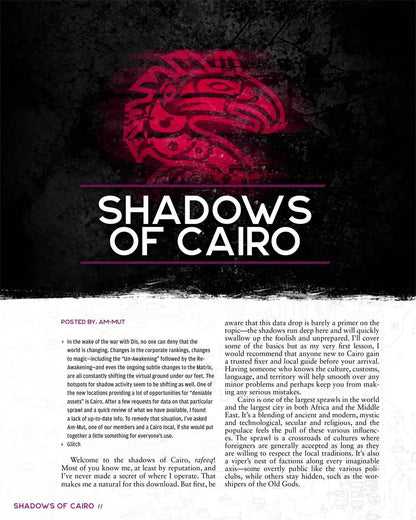 Shadowrun RPG: Risks & Rewards (6E)