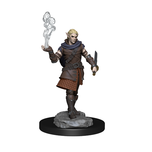 Critical Role: Pallid Elf Rogue and Bard Male