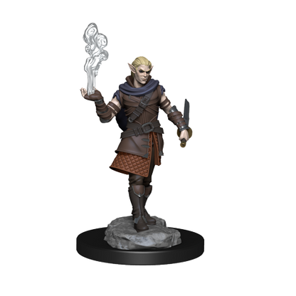 Critical Role: Pallid Elf Rogue and Bard Male