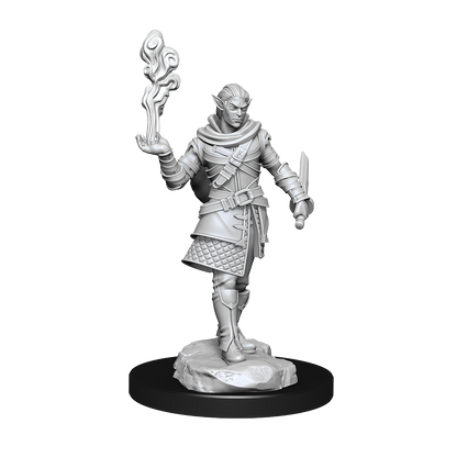 Critical Role: Pallid Elf Rogue and Bard Male