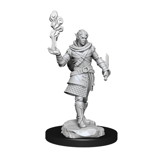 Critical Role: Pallid Elf Rogue and Bard Male