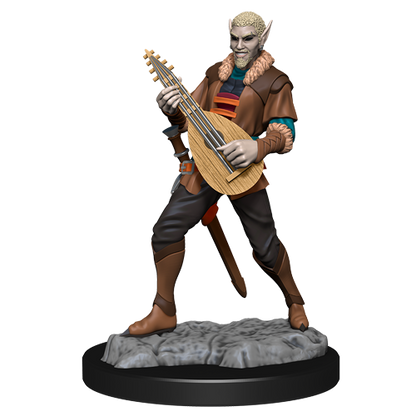 Critical Role: Pallid Elf Rogue and Bard Male
